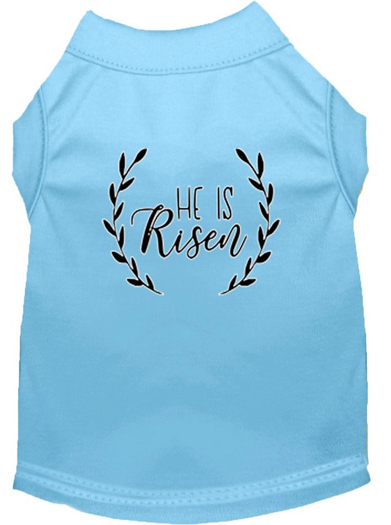 He Is Risen Screen Print Dog Shirt Baby Blue Med